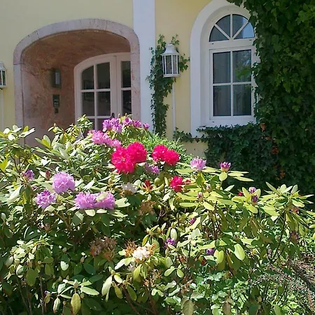 Gastehaus Auerhahn Guest house 3*